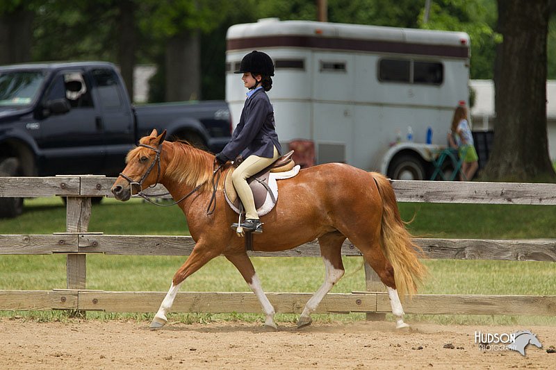 4H-Fun-Show-11_0532.jpg