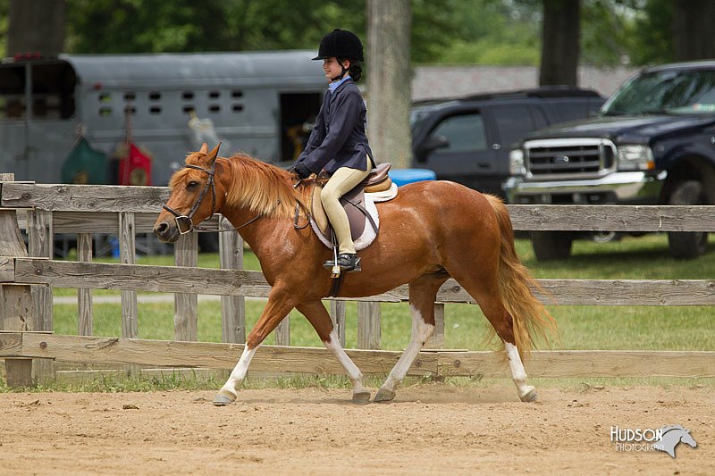 4H-Fun-Show-11_0533.jpg