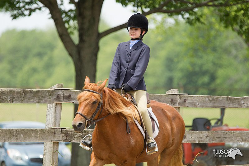 4H-Fun-Show-11_0537.jpg