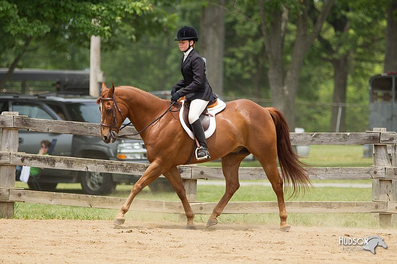 4H-Fun-Show-11_0538.jpg