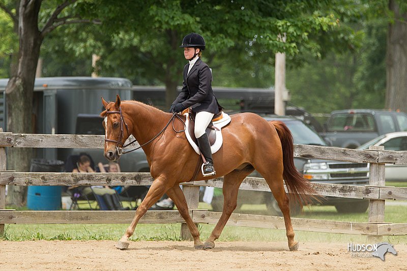 4H-Fun-Show-11_0539.jpg