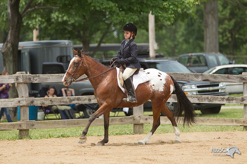 4H-Fun-Show-11_0541.jpg