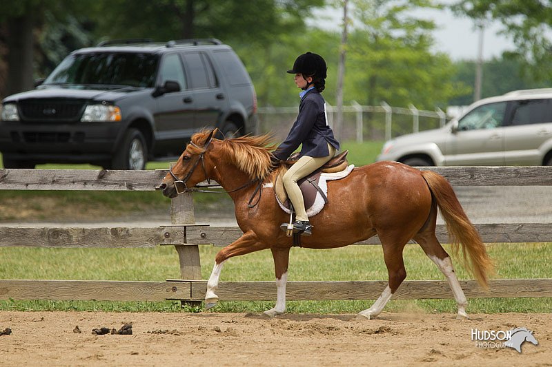 4H-Fun-Show-11_0542.jpg