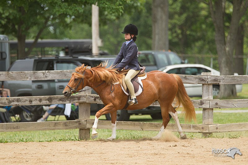 4H-Fun-Show-11_0543.jpg