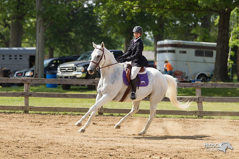 4H-Fun-Show-11_0962.jpg
