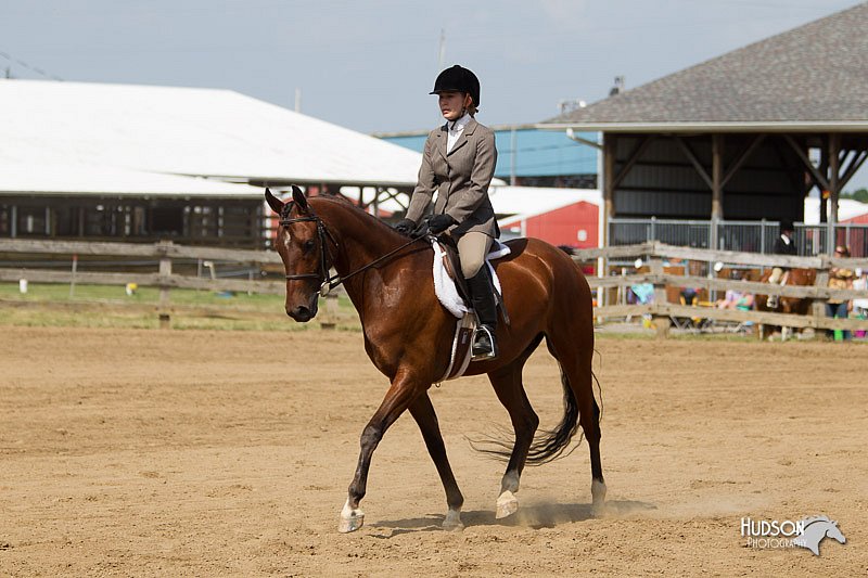 4H-Fun-Show-11_0963.jpg