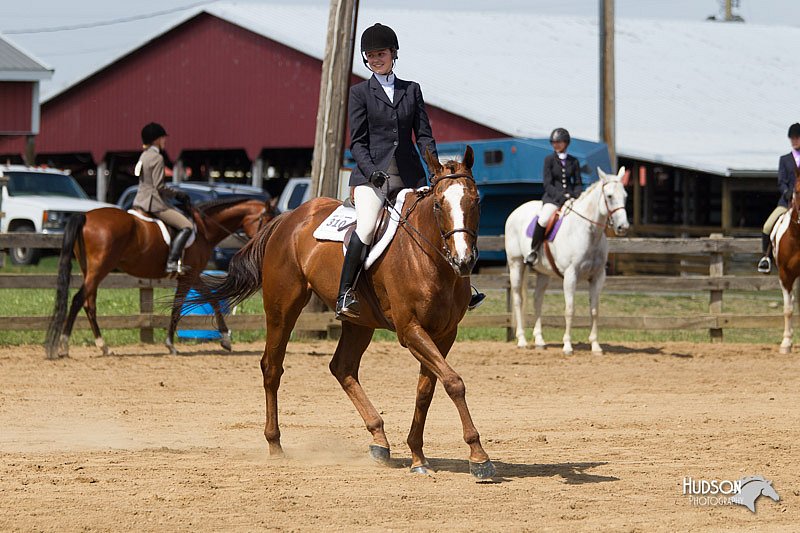 4H-Fun-Show-11_0968.jpg