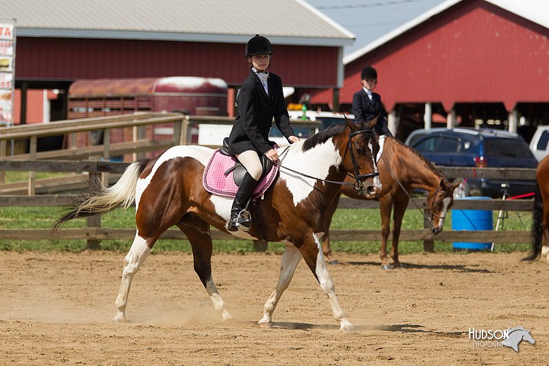 4H-Fun-Show-11_0973.jpg