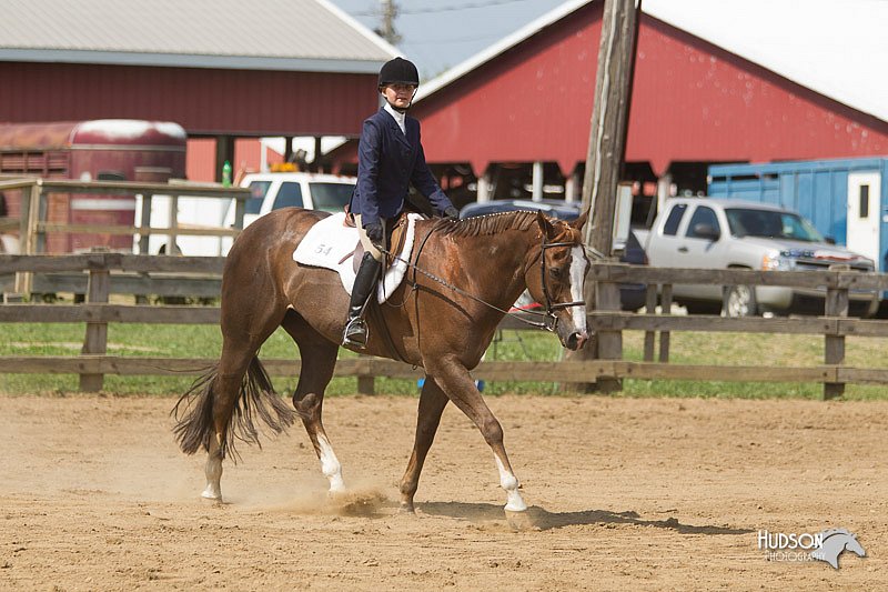 4H-Fun-Show-11_0981.jpg