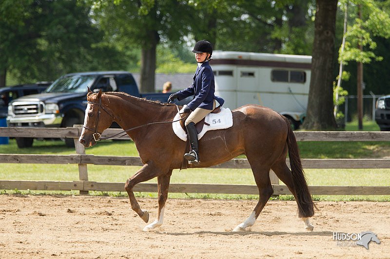 4H-Fun-Show-11_0984.jpg