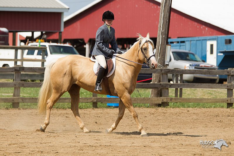 4H-Fun-Show-11_0986.jpg