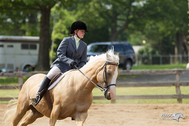 4H-Fun-Show-11_0989.jpg