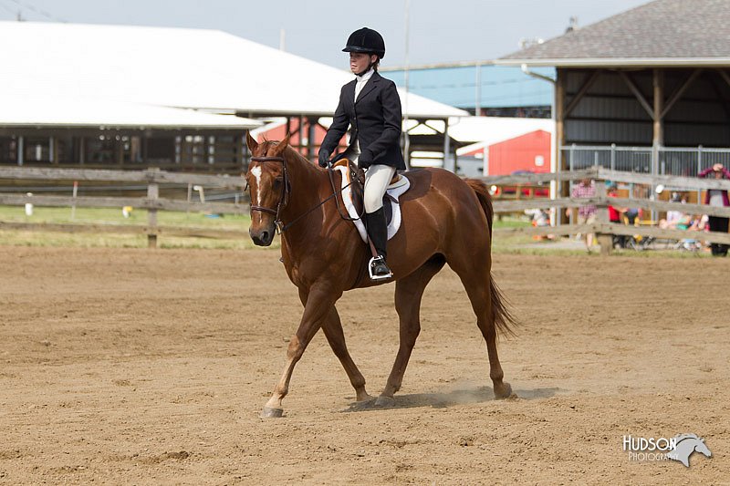4H-Fun-Show-11_0991.jpg