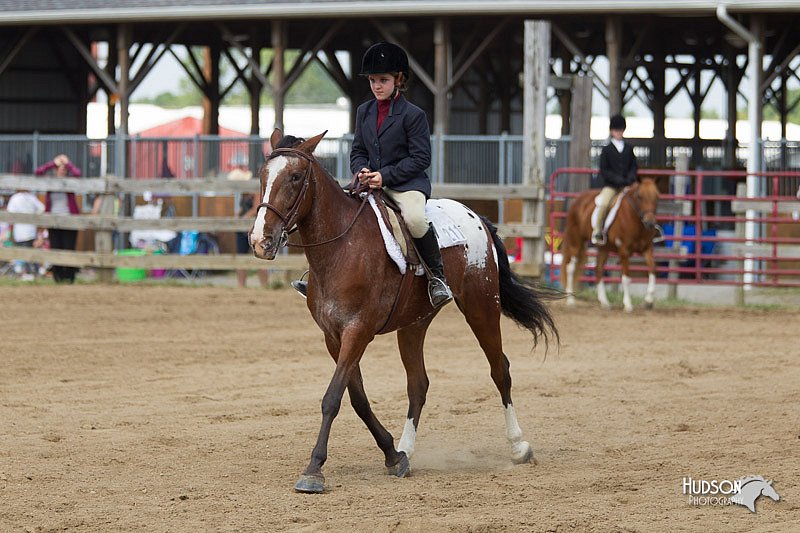 4H-Fun-Show-11_0996.jpg