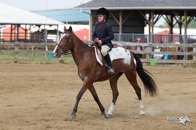 4H-Fun-Show-11_0997.jpg