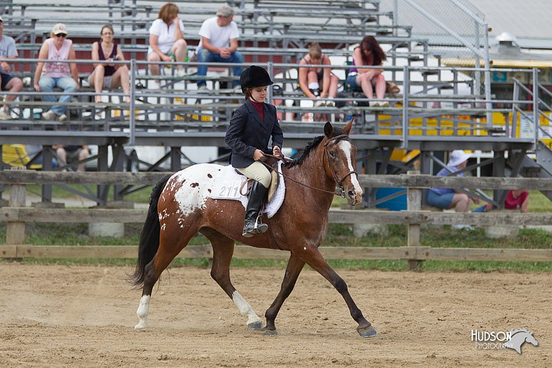 4H-Fun-Show-11_0999.jpg