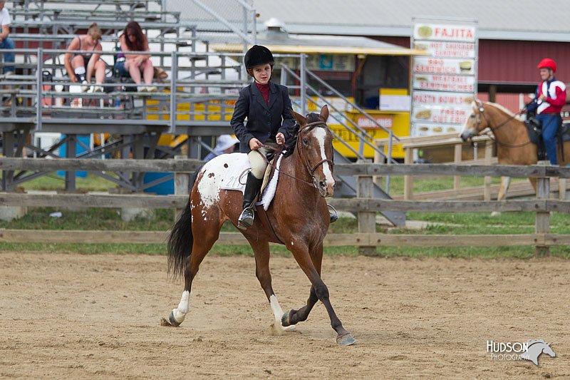 4H-Fun-Show-11_1000.jpg