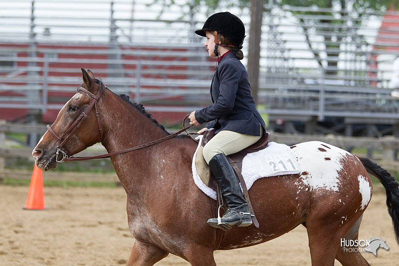 4H-Fun-Show-11_1002.jpg