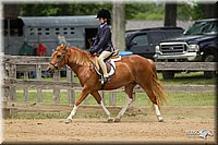 4H-Fun-Show-11_0533.jpg