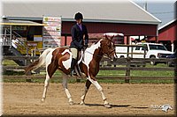 4H-Fun-Show-11_0956.jpg