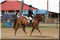 4H-Fun-Show-11_0992.jpg