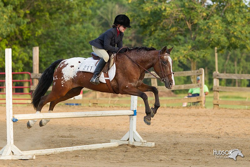 4H-Fun-Show-11_1499.jpg