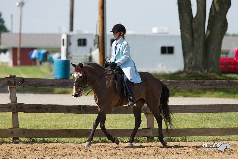 4H-Fun-Show-11_0947.jpg