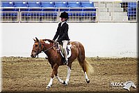 4H-State-SH-11_0953.JPG