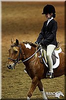 4H-State-SH-11_0974.JPG