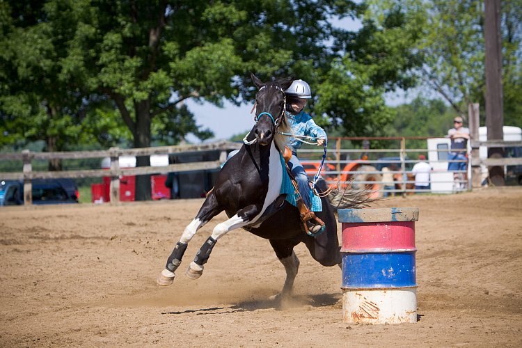 4H-Fun-Show-060912-238.JPG