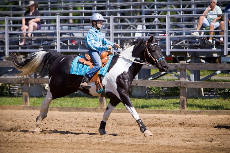 4H-Fun-Show-060912-240.JPG