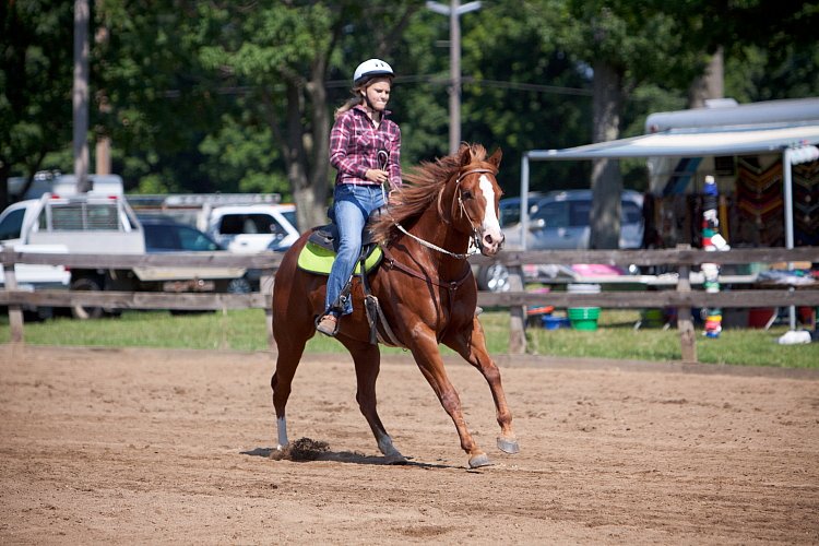 4H-Fun-Show-060912-243.JPG