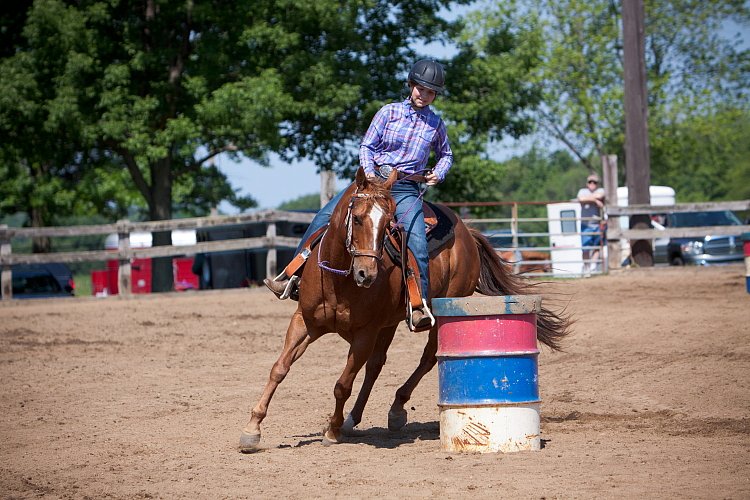 4H-Fun-Show-060912-246.JPG