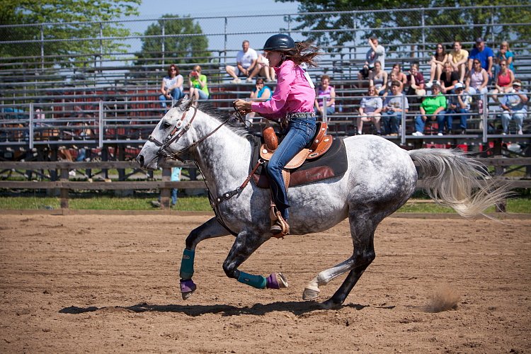 4H-Fun-Show-060912-255.JPG