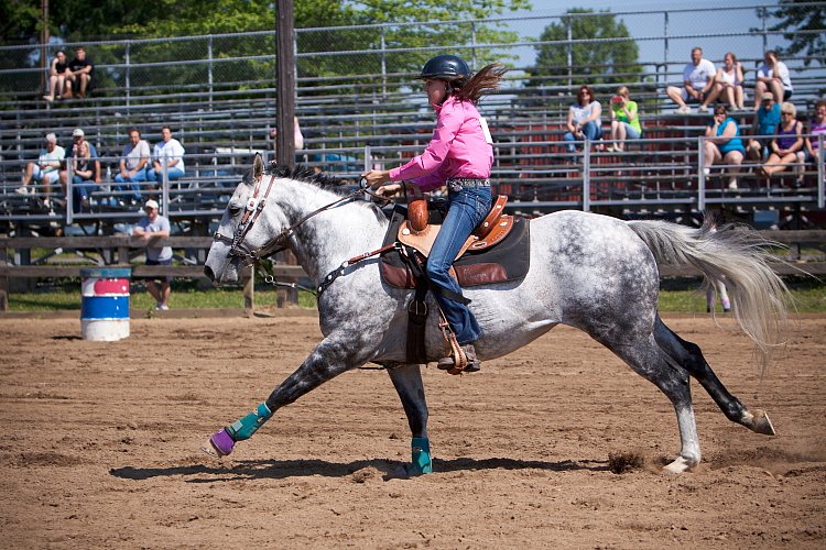 4H-Fun-Show-060912-256.JPG