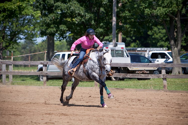 4H-Fun-Show-060912-261.JPG