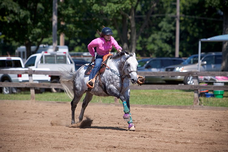 4H-Fun-Show-060912-262.JPG