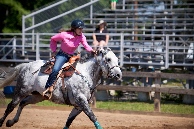 4H-Fun-Show-060912-263.JPG