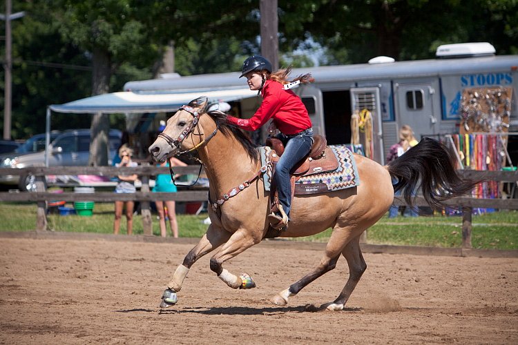 4H-Fun-Show-060912-268.JPG