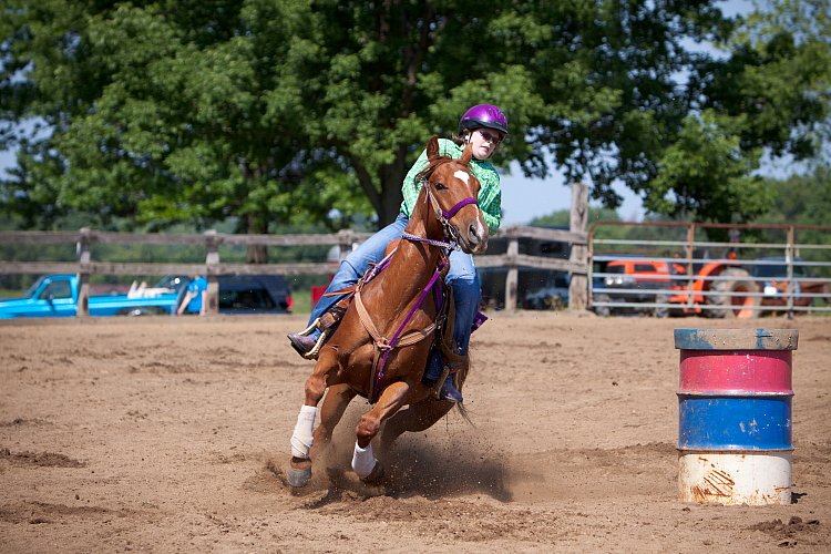 4H-Fun-Show-060912-275.JPG