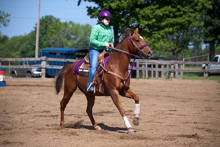 4H-Fun-Show-060912-276.JPG