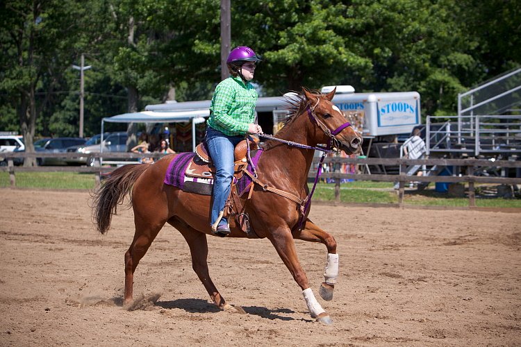 4H-Fun-Show-060912-277.JPG