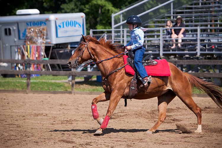 4H-Fun-Show-060912-279.JPG