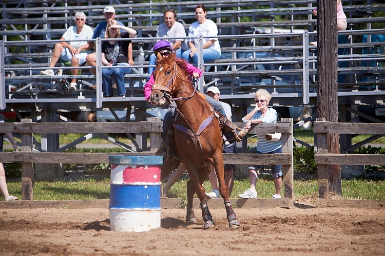 4H-Fun-Show-060912-283.JPG