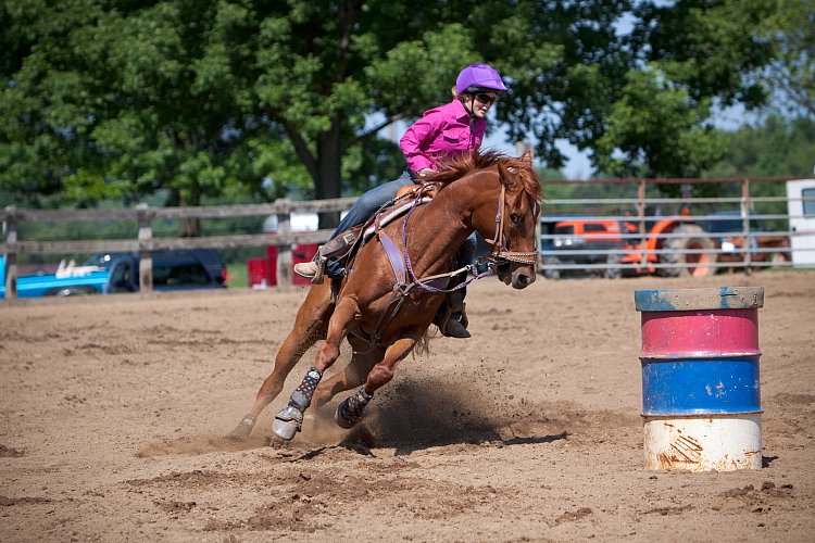 4H-Fun-Show-060912-285.JPG