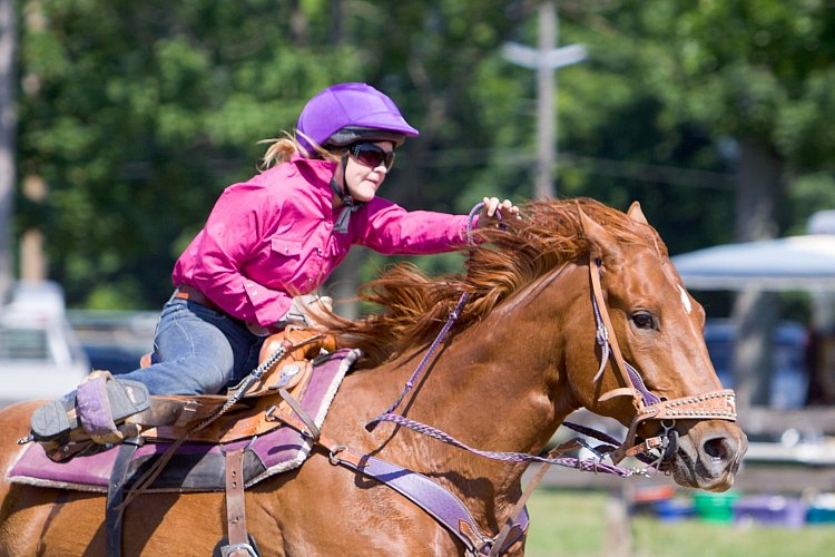 4H-Fun-Show-060912-289.JPG