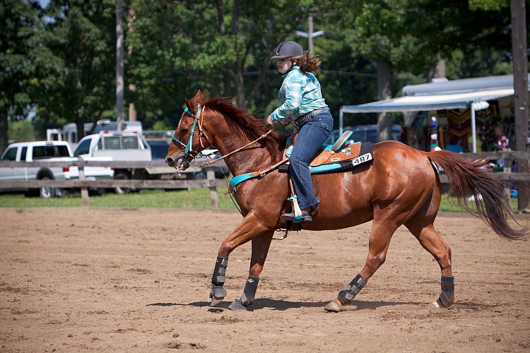 4H-Fun-Show-060912-291.JPG