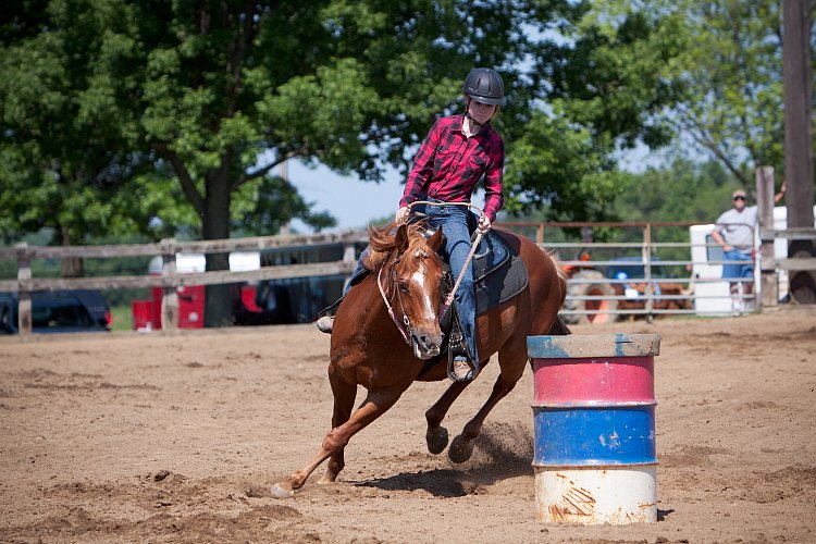 4H-Fun-Show-060912-293.JPG