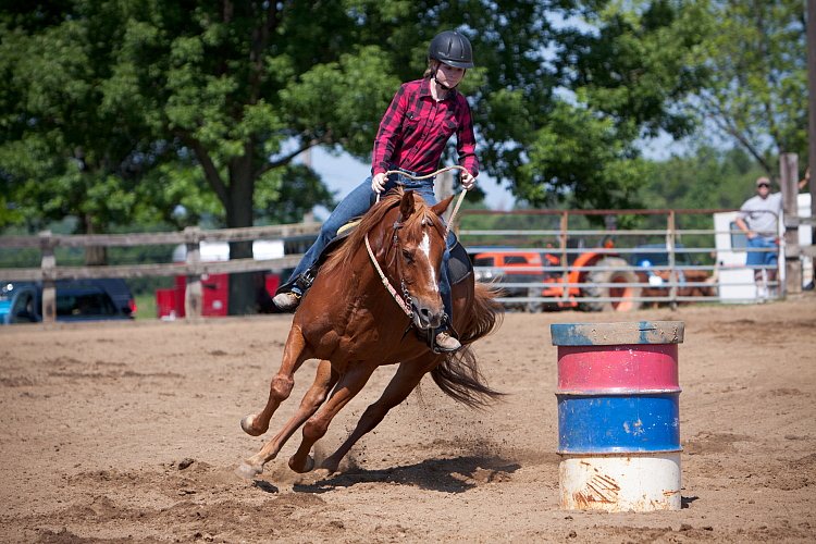 4H-Fun-Show-060912-294.JPG