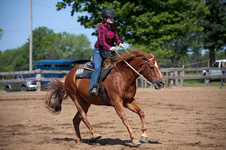 4H-Fun-Show-060912-295.JPG